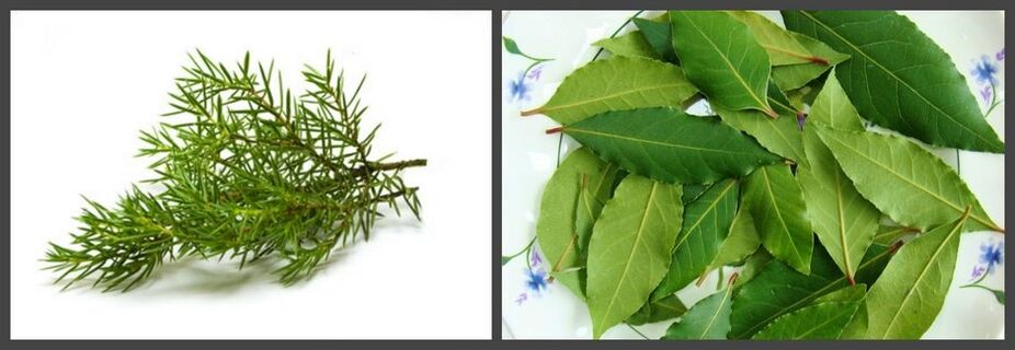 Juniper and bay leaf as part of the ointment help relieve pain in osteochondrosis